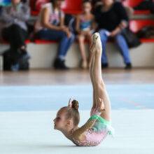 Галерея фотографий - Художественная гимнастика в Ростове